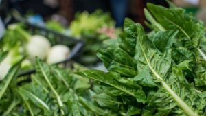 Légumes frais