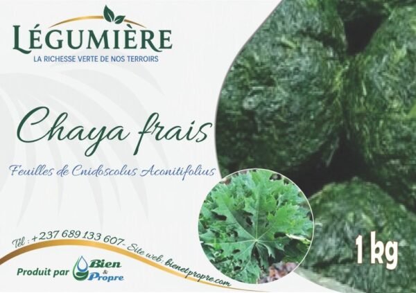 chaya-frais-1kg