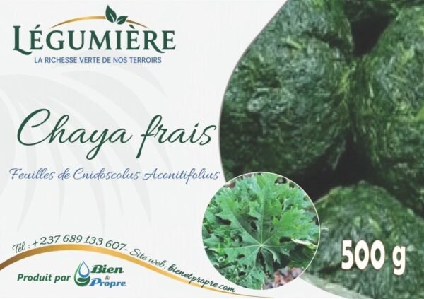 chaya-frais-500g